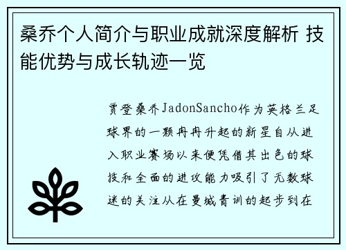 桑乔个人简介与职业成就深度解析 技能优势与成长轨迹一览 桑乔个人简介与职业成就深度解析 技能优势与成长轨迹一览